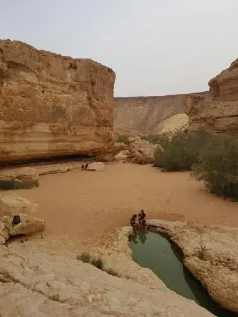 The White Hill Guesthouse