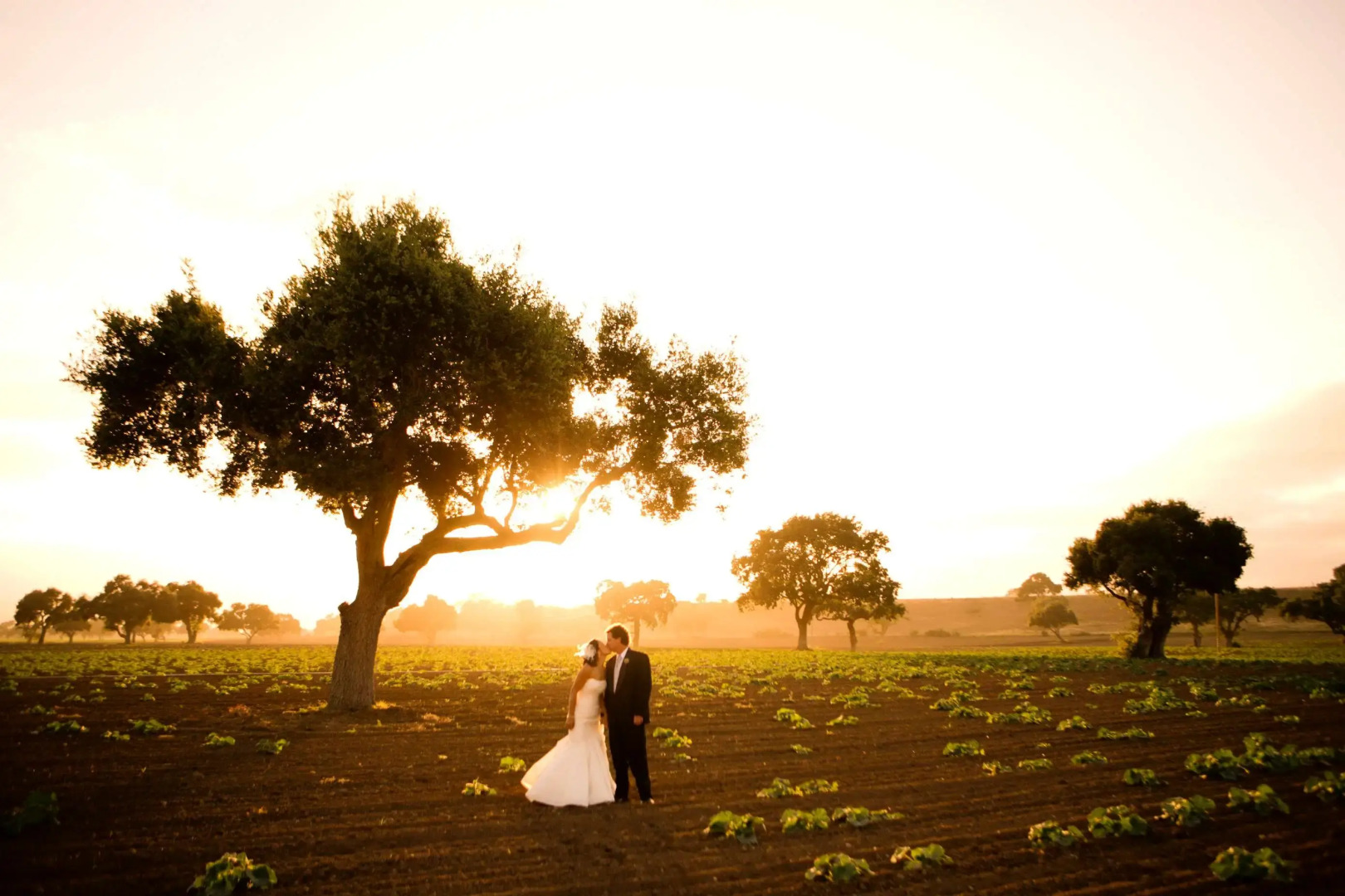 Hampton Inn & Suites Ridgecrest