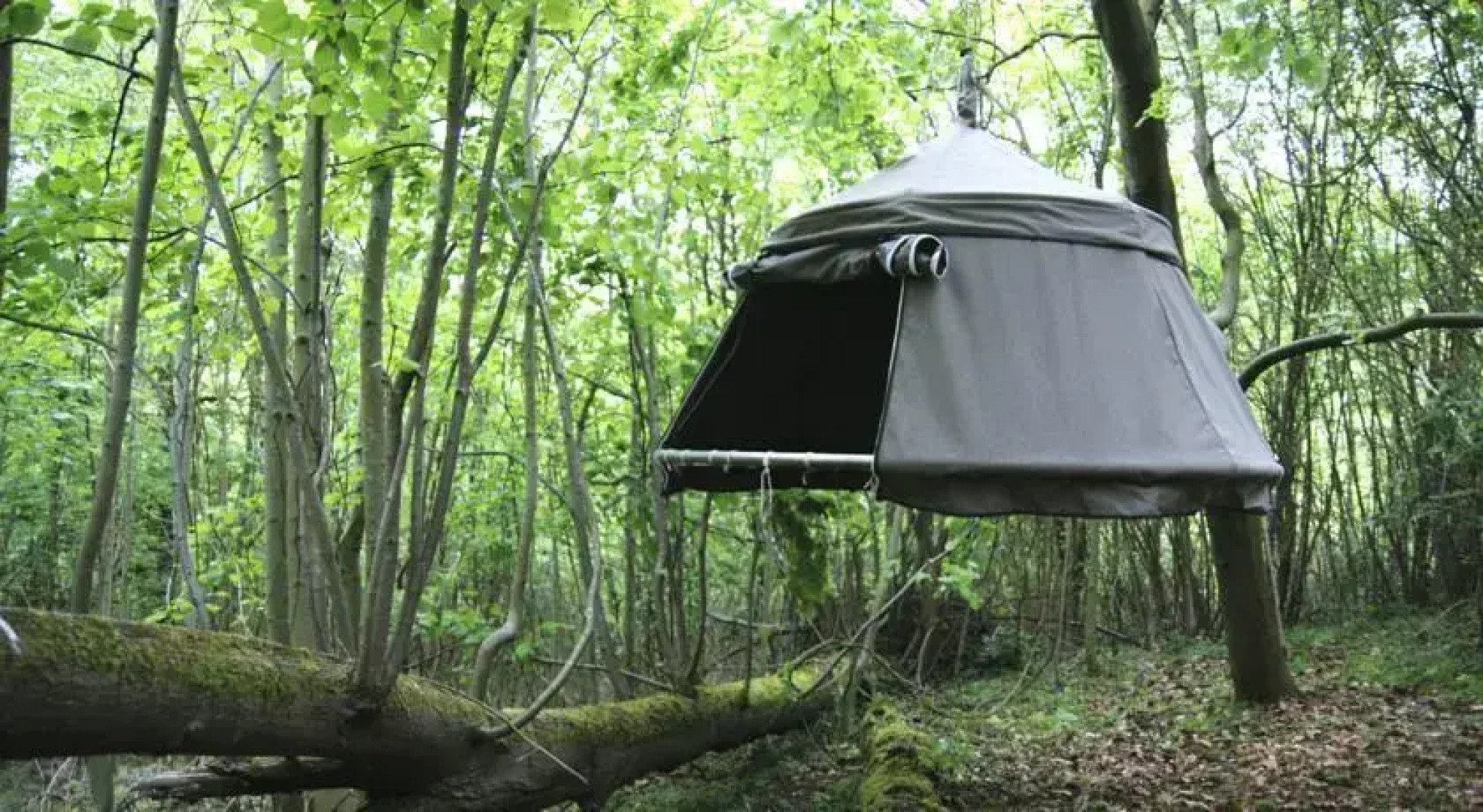 Les Naturelles Insolites