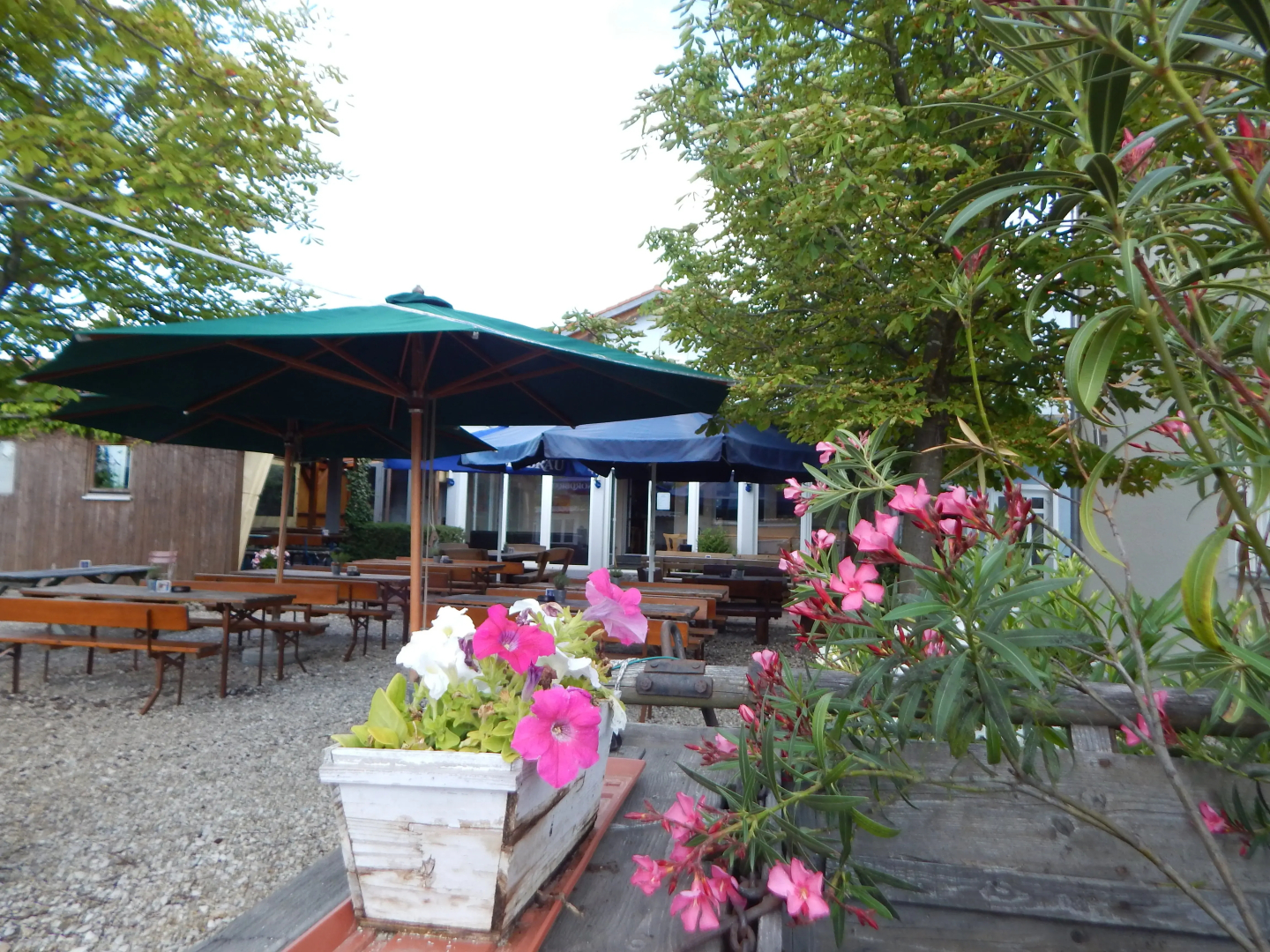 Hotel Alex