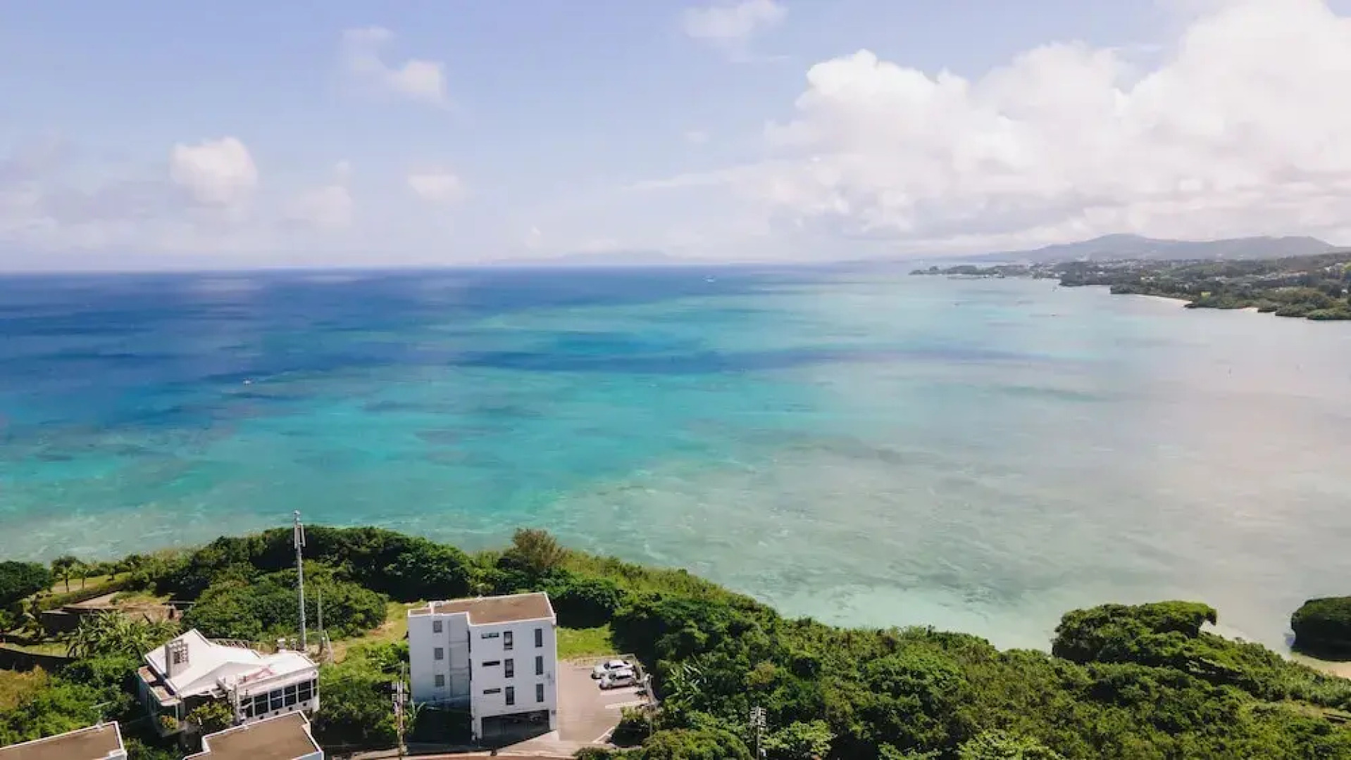 Blue Steak Wonder Senaha