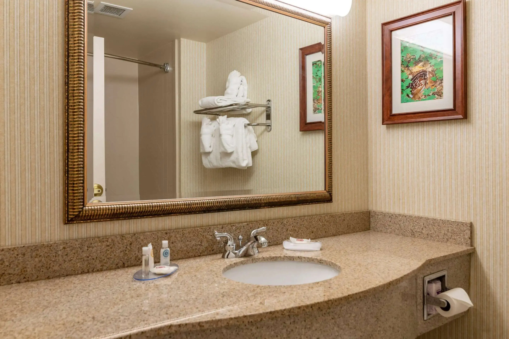 Comfort Inn & Suites Lake George