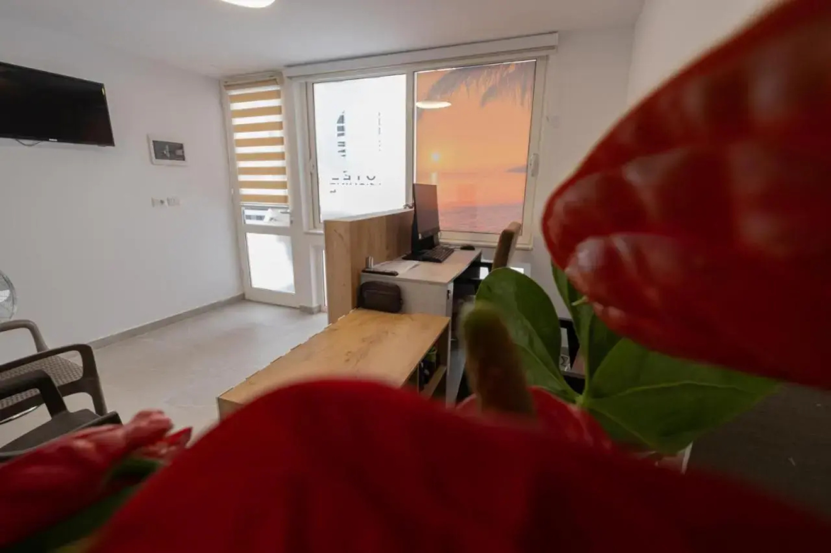 Hotel Villa Kamelia 2