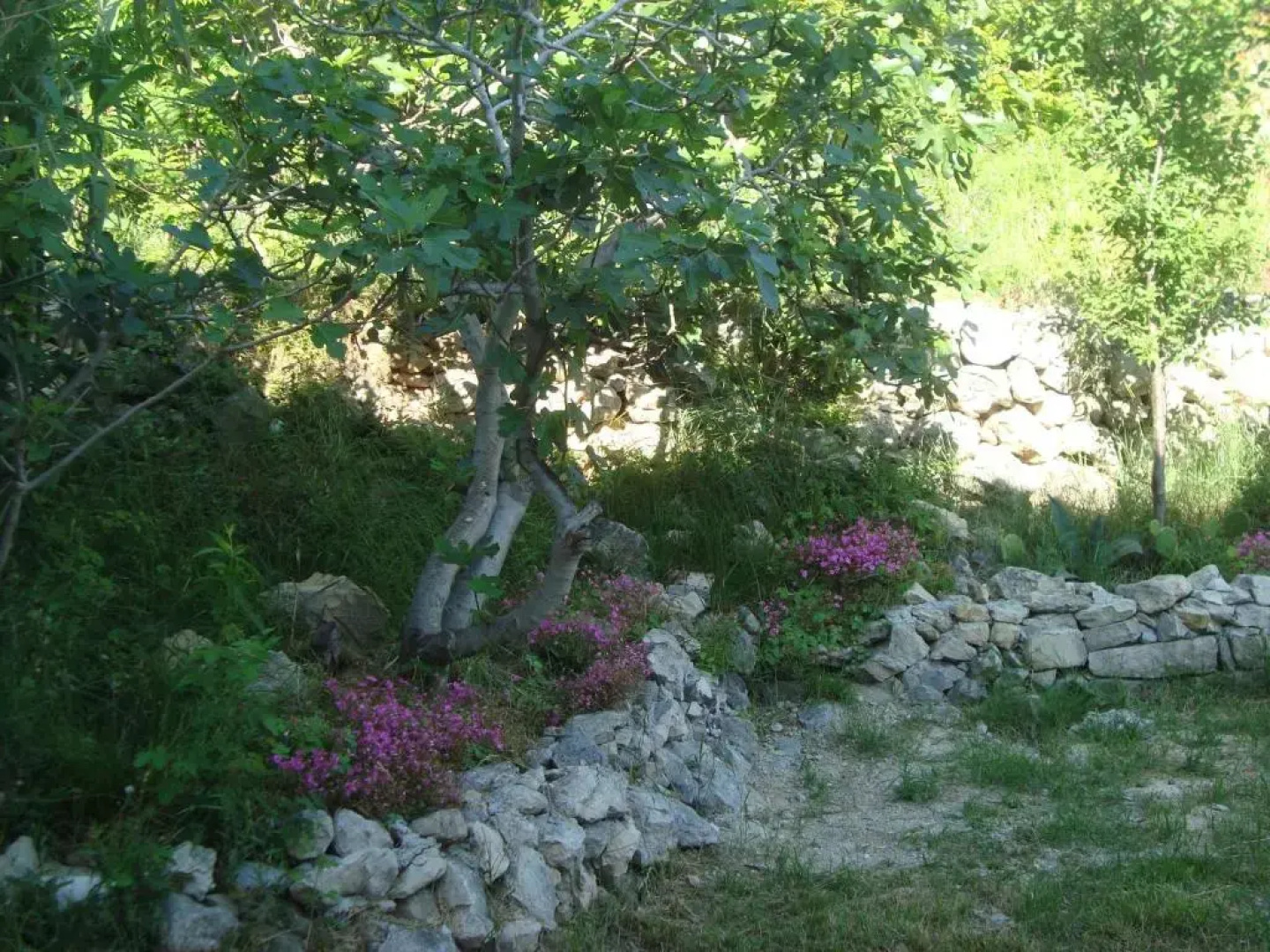 Apartment Marijan - Rtina
