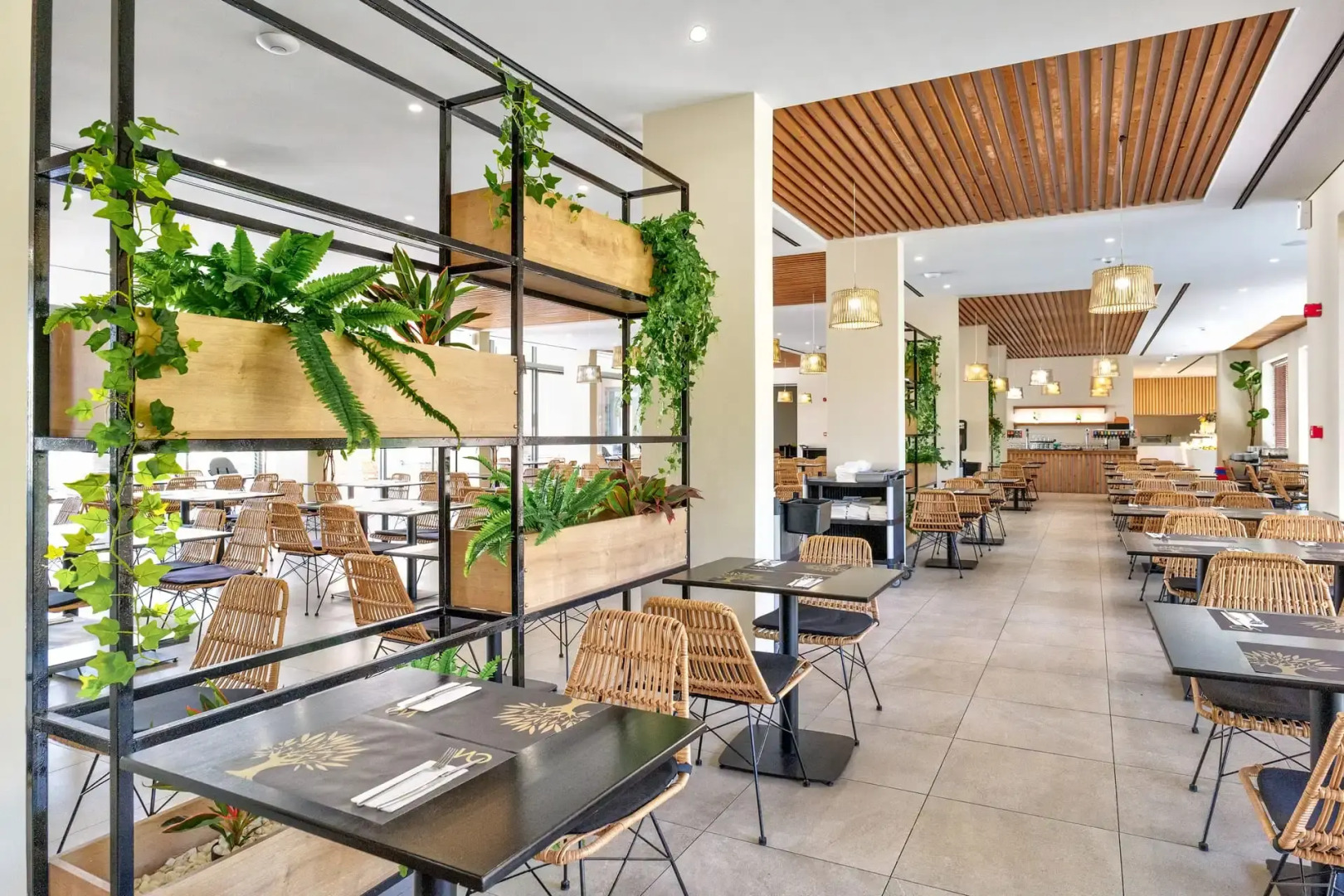 White Olive Elite Laganas - All Inclusive