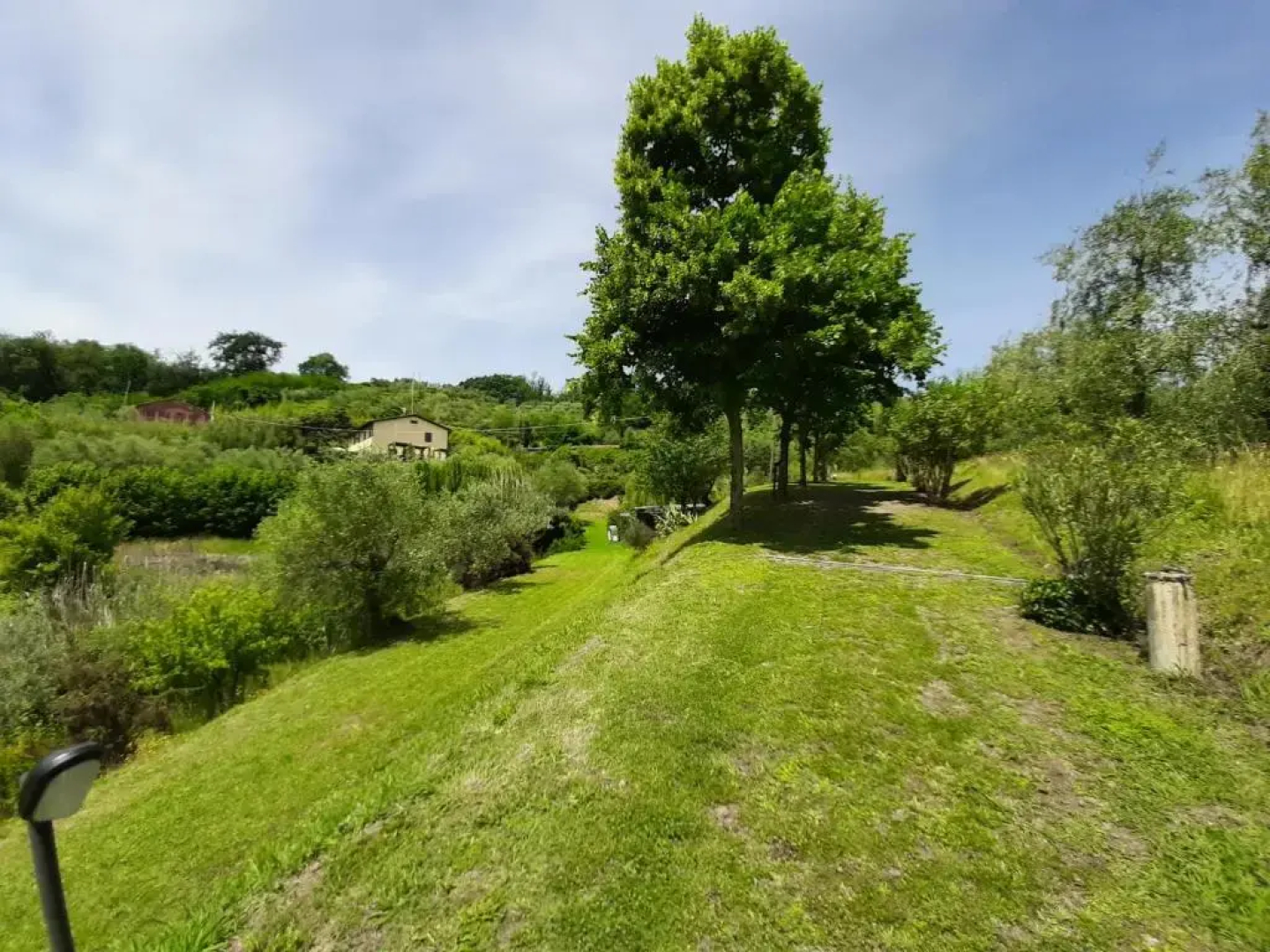 Tenuta degli Obizzi