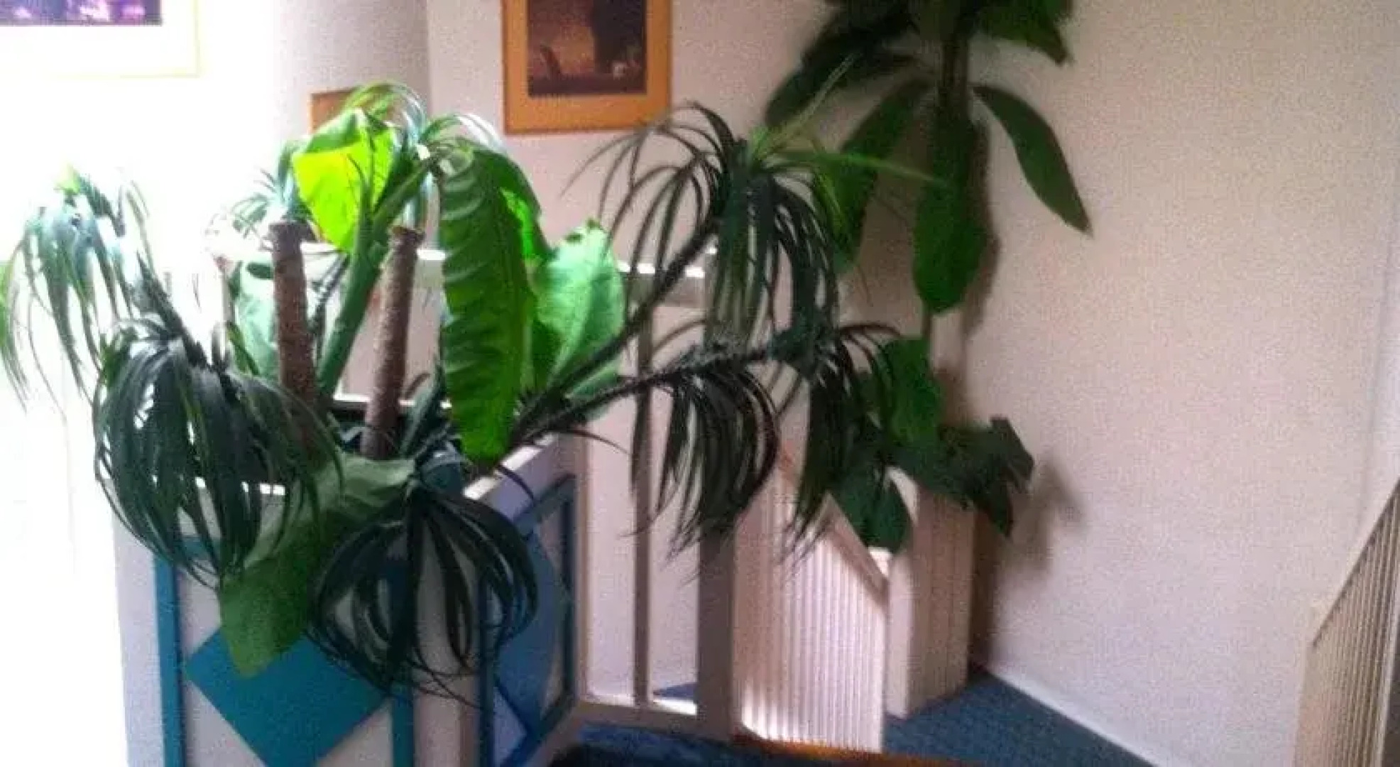 Hôtel La Plantation