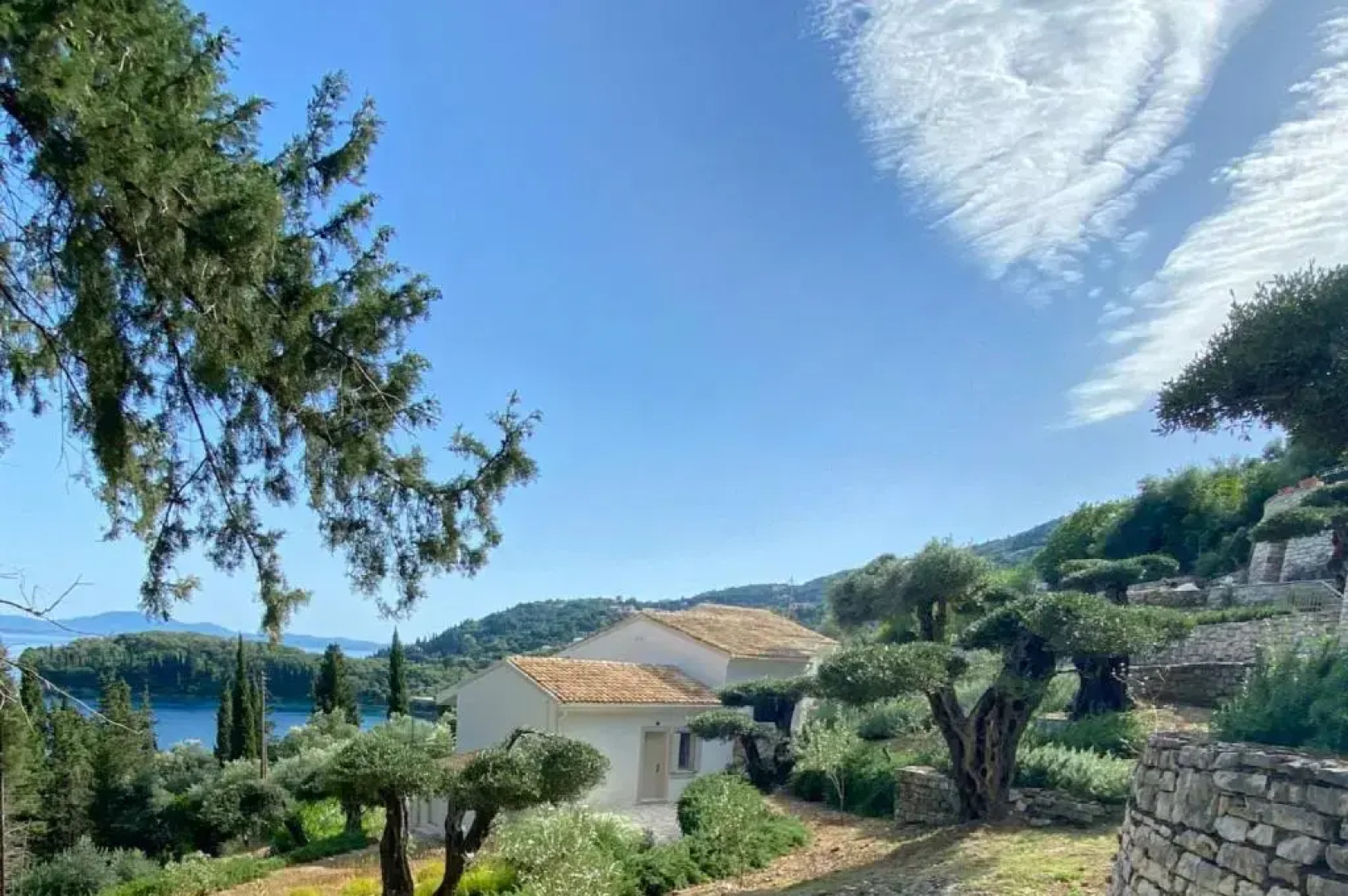 Paleopetres K-Nine - Premium Suite - Kalami -