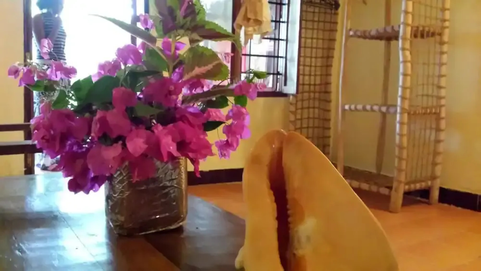 Sipano Beach Lodge Kiwengwa