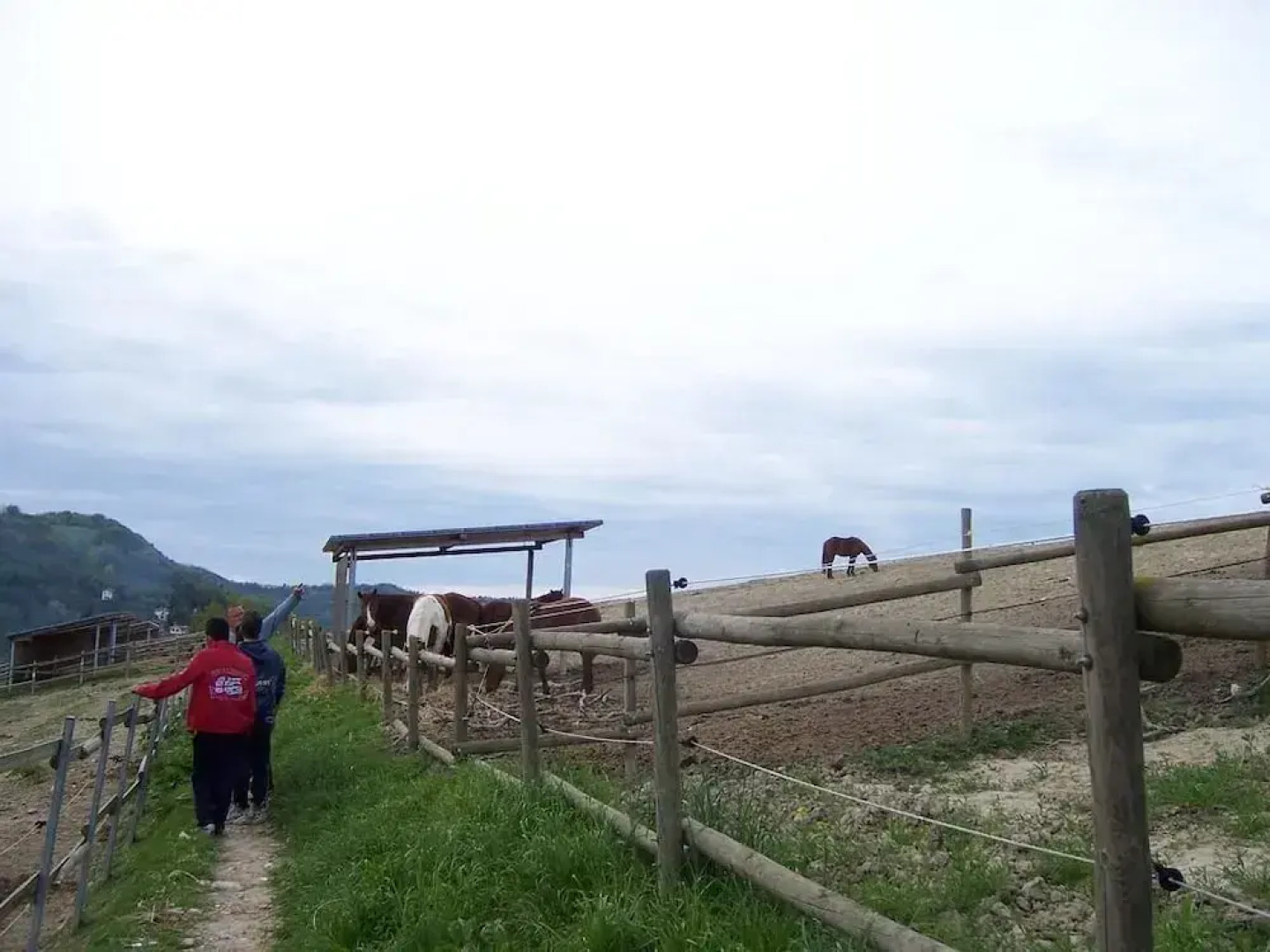 Casa Cairo Affittacamere