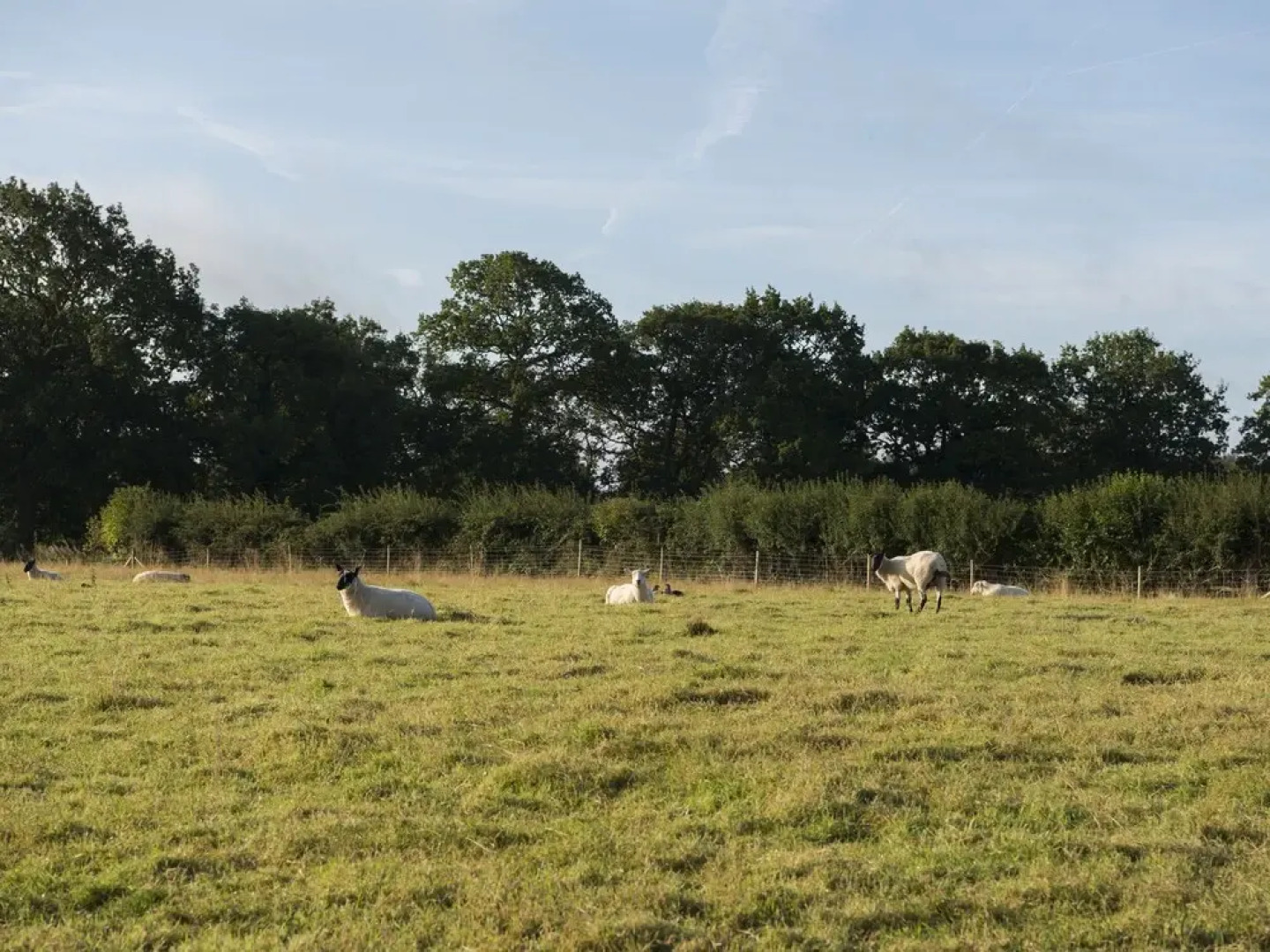 Barnfields Holiday Cottage