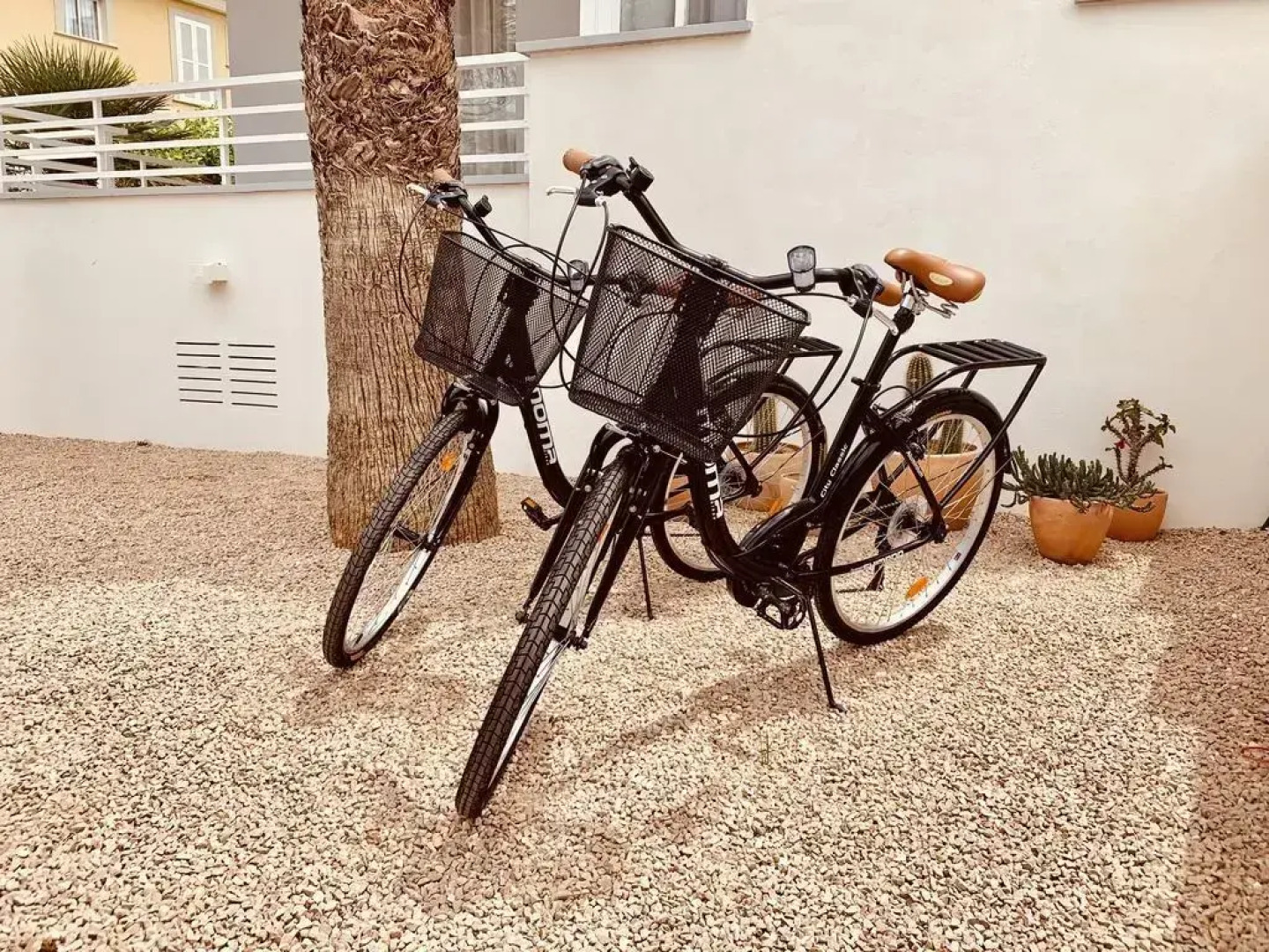 Apartamentos Bauló Mar