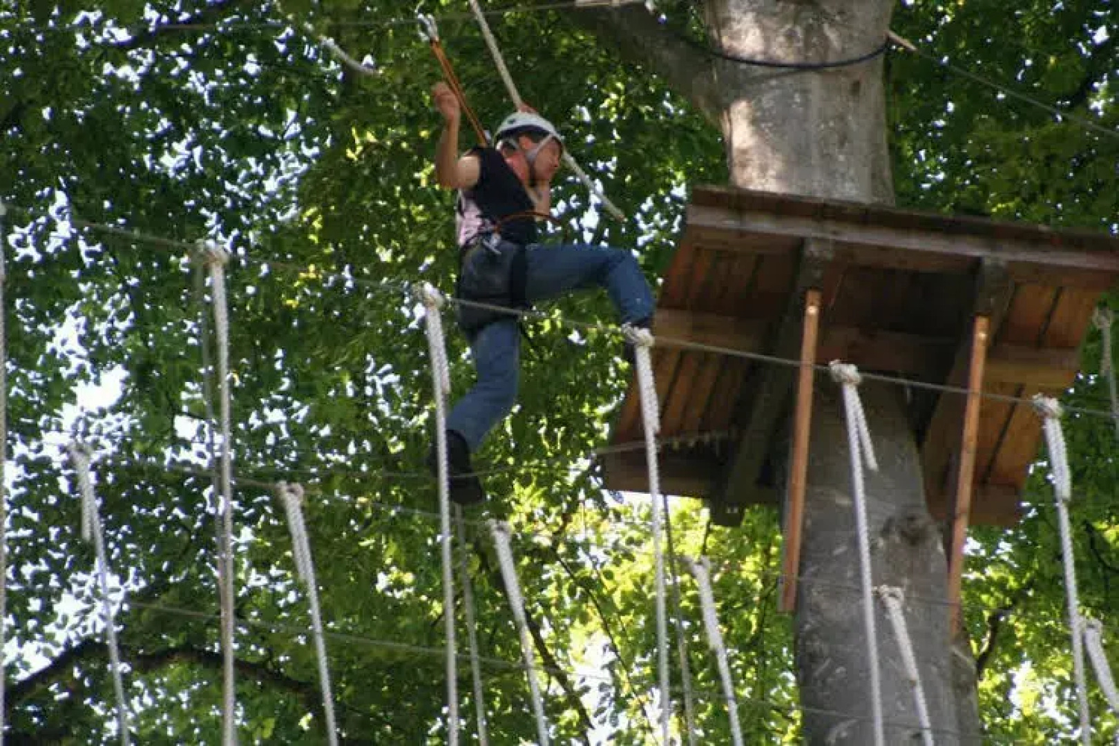 Baby-/Kinderhof Aicherbauer