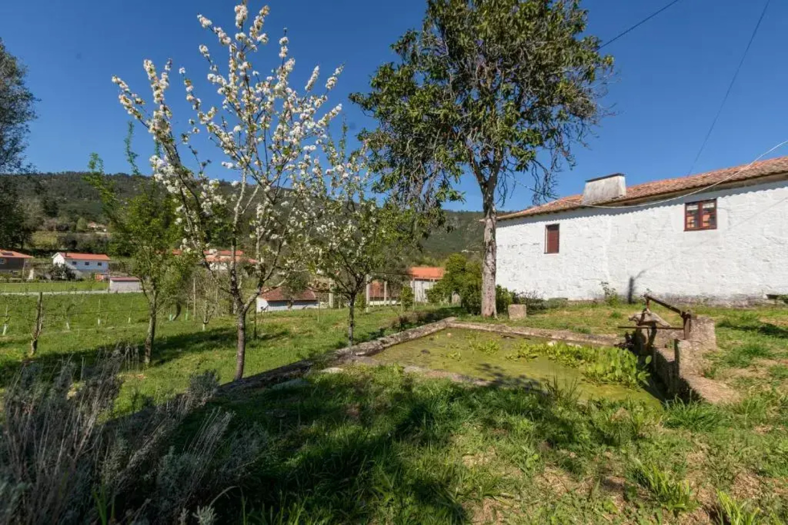 Casa Lavoura em Requeixo