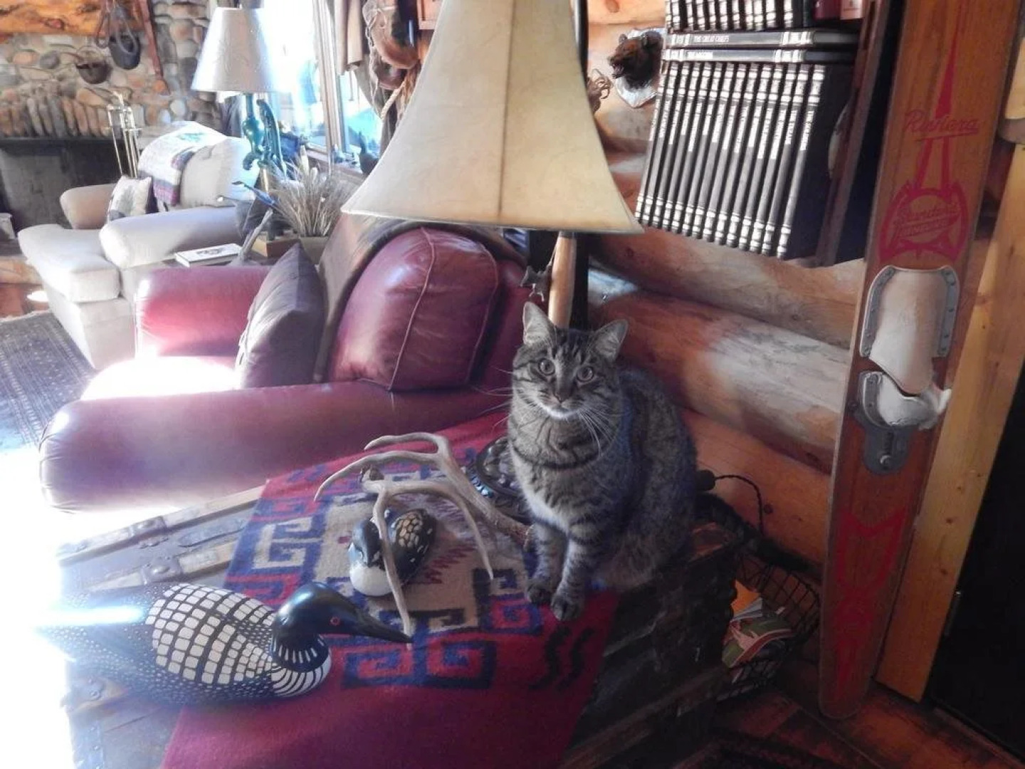 Idle Spurs Bed & Breakfast