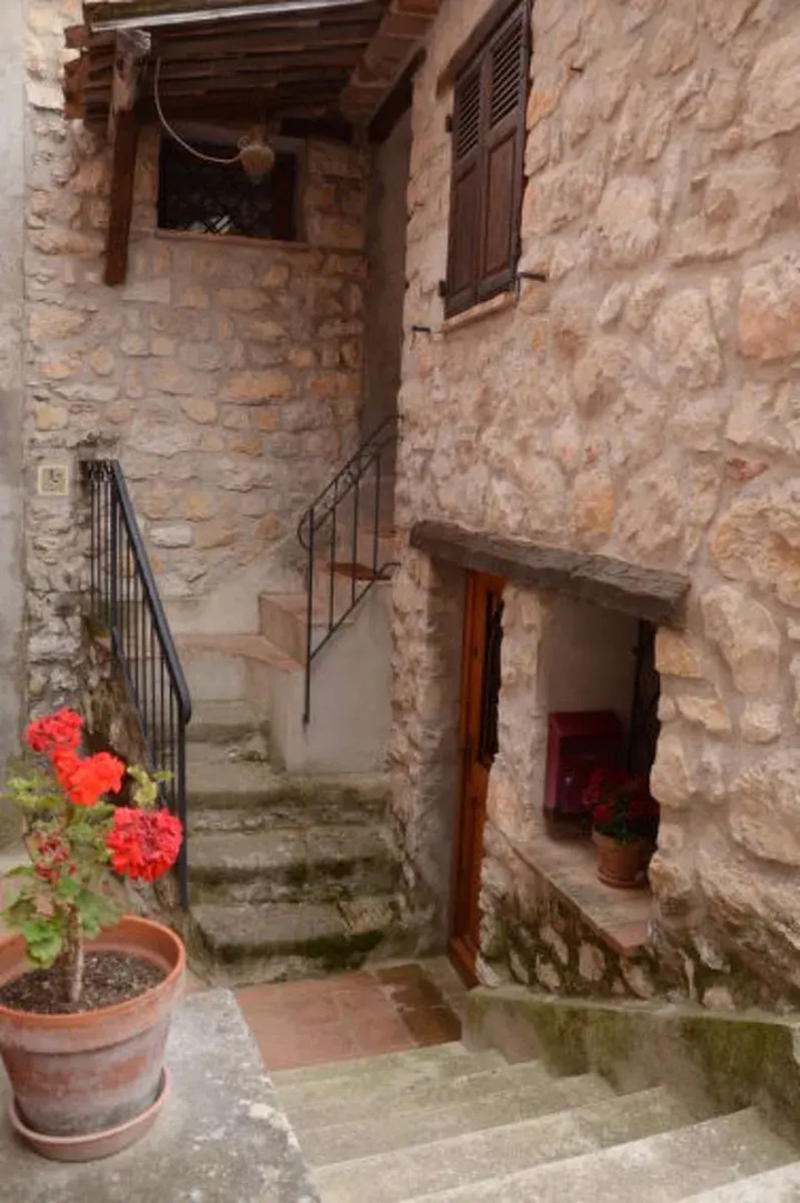 Schöner Stern (BDJ110)