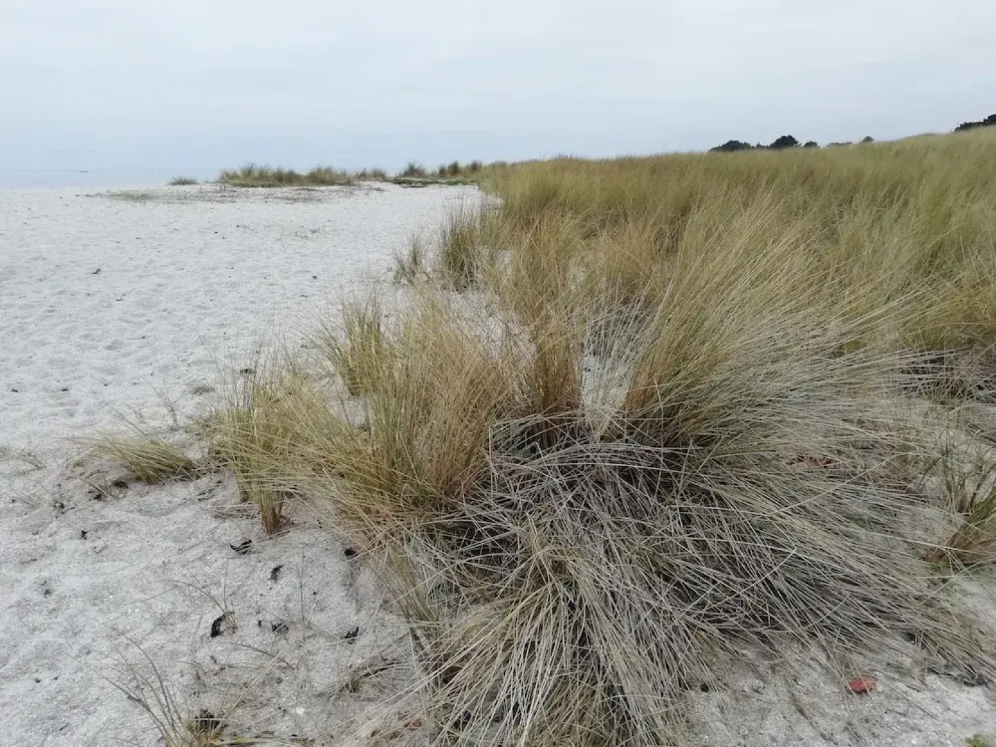 Les Roches Du Cabellou 150 m De La Mer