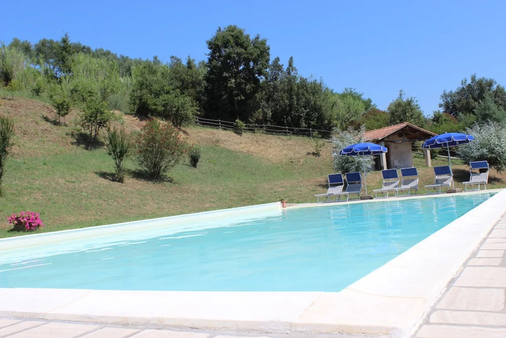 Poggio dei Michelazzi