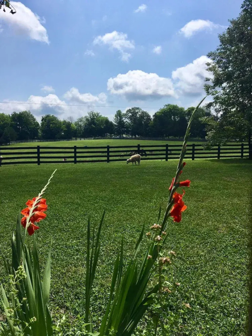 Sandy River Adventure Resort