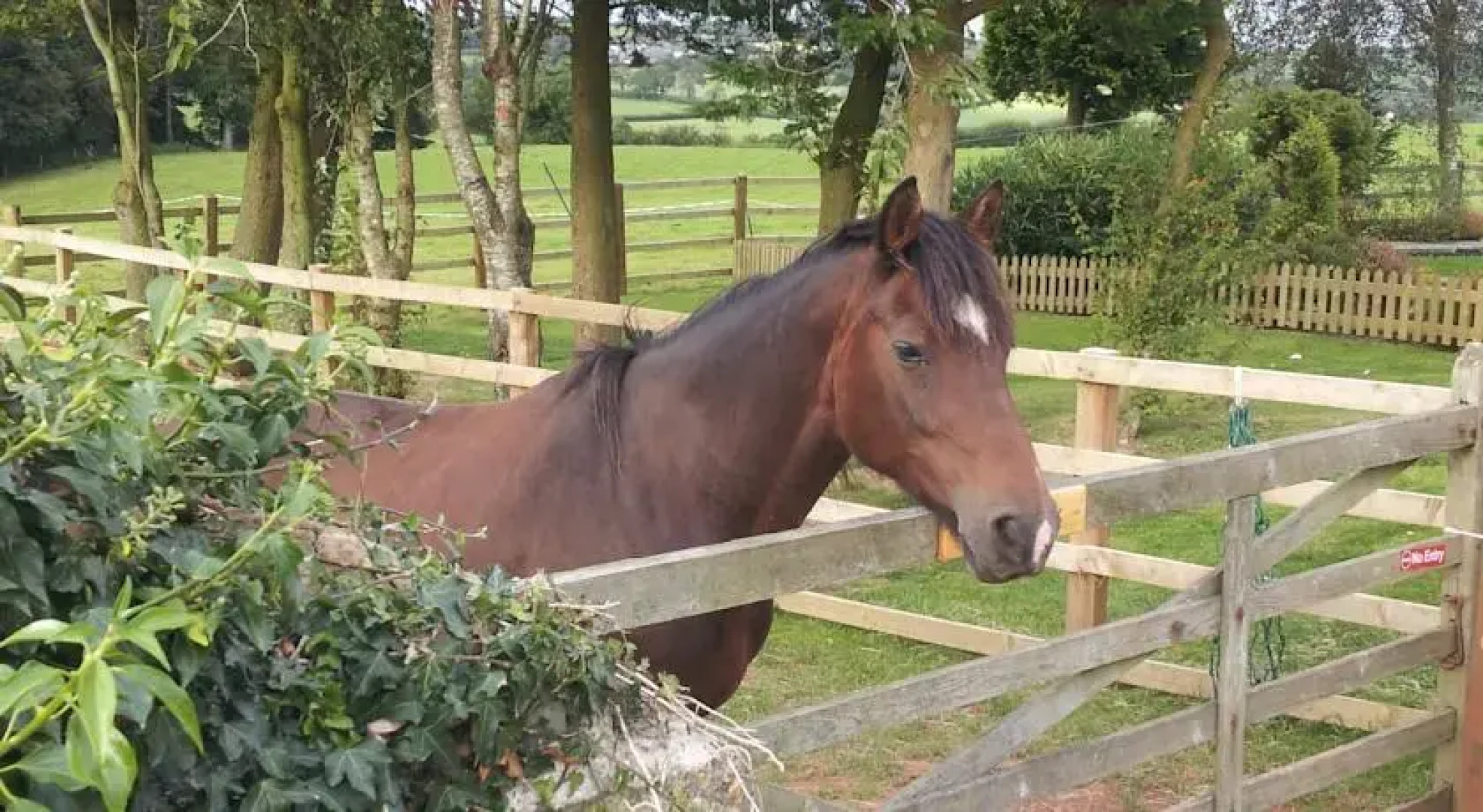 Parsonage Farm Bed & Breakfast