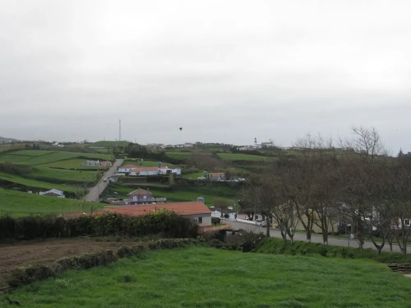 Cantinho da Ilha - Guest House