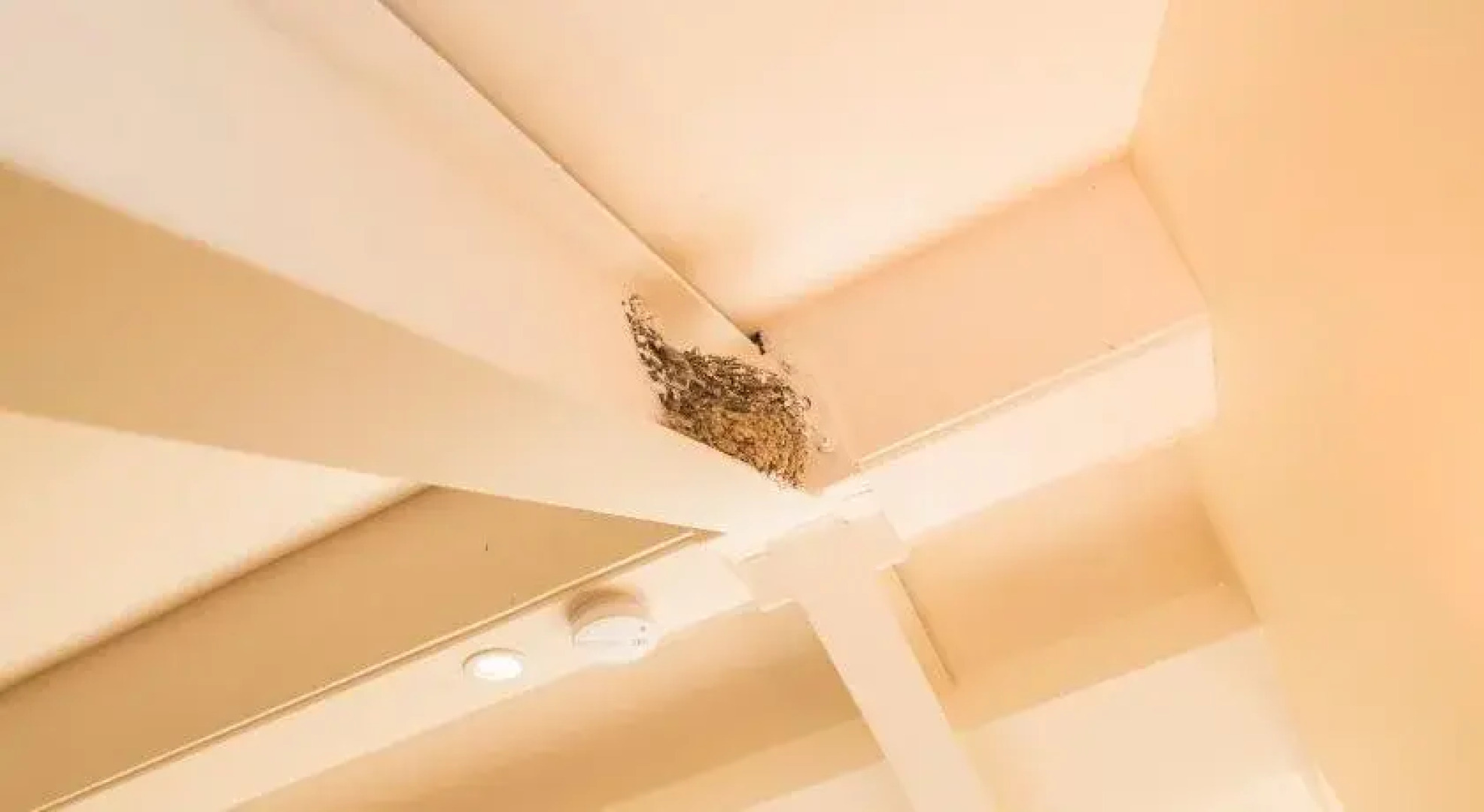 De Heerlijkheid van Krombeke "Casa Sophia"