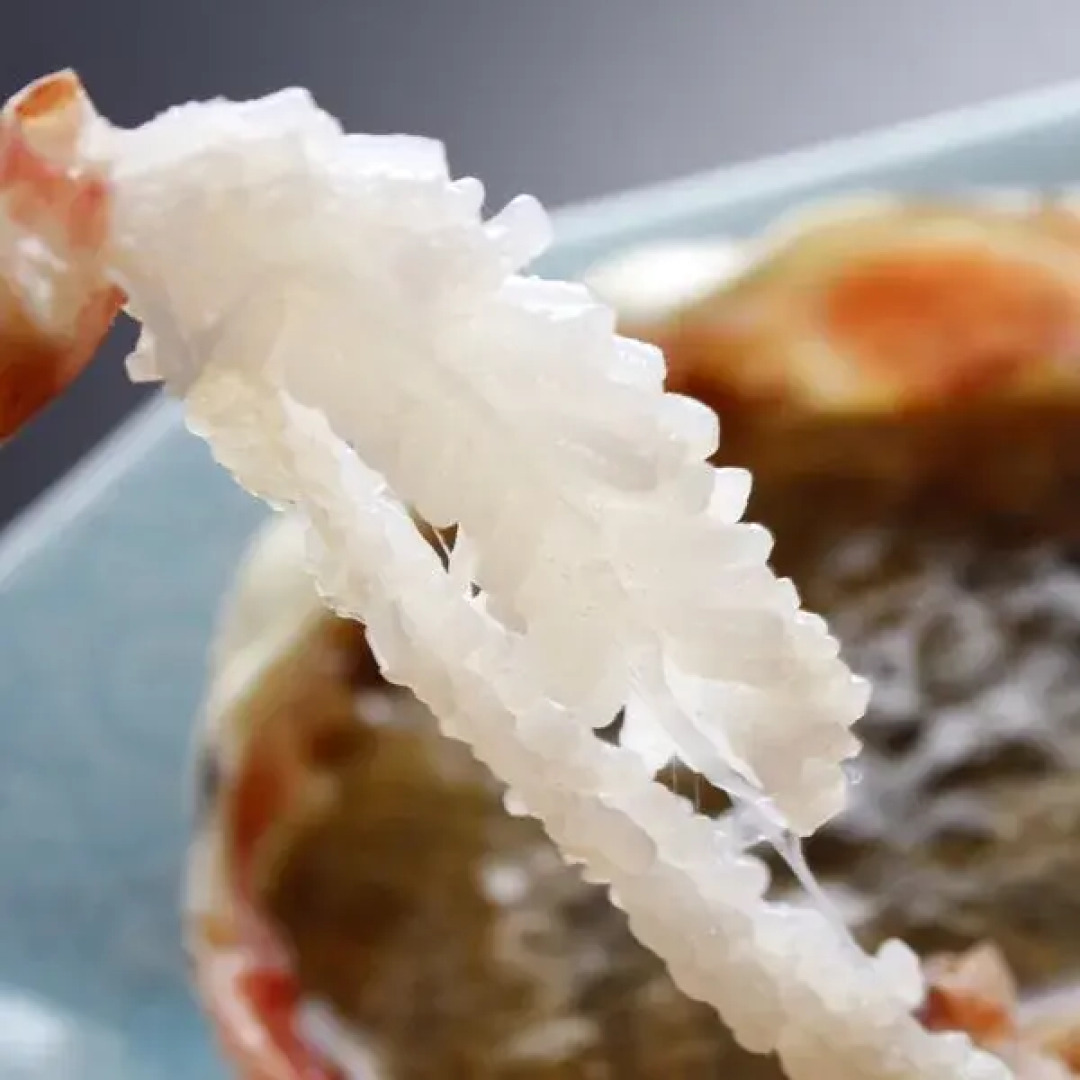 Echizenkuriya Onsen Ryokan Kinryu