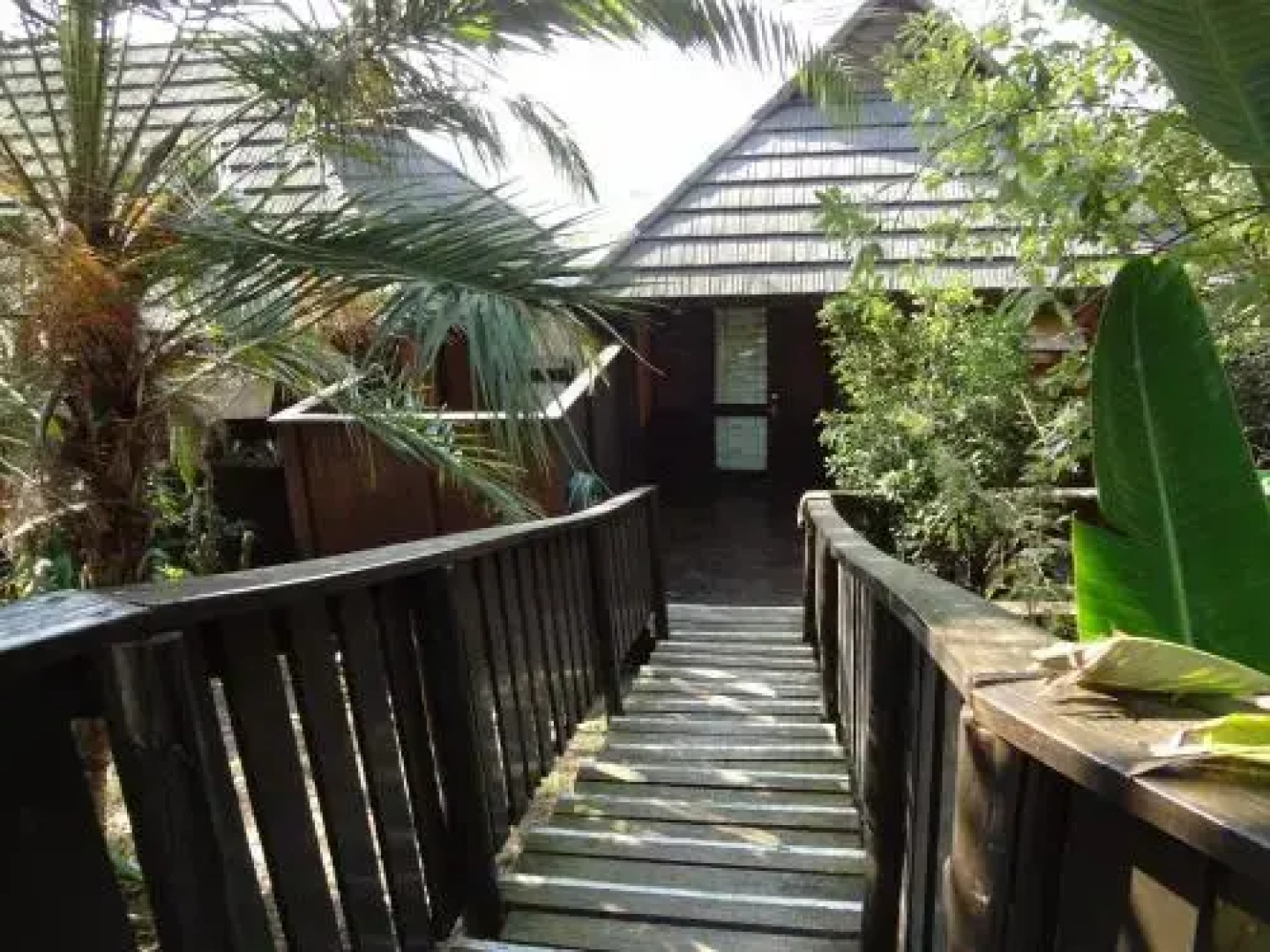 Dolphin Lodge