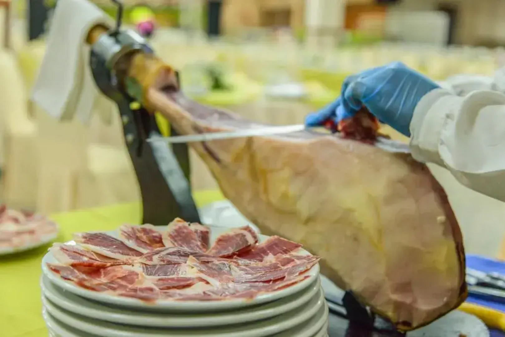 Hotel Oasis Familiar