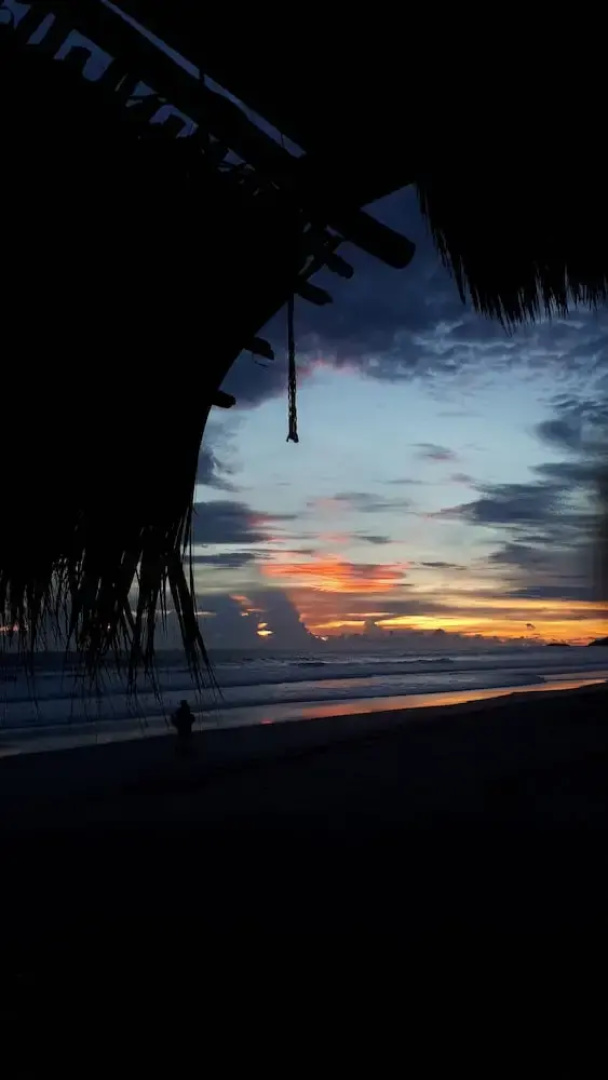 Wild Waves Surf-House