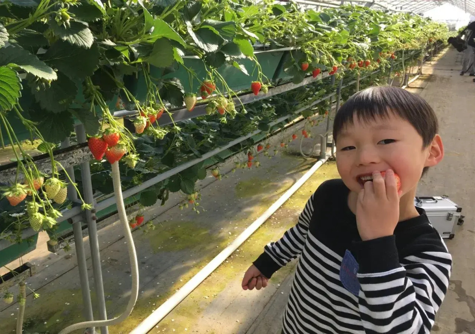 Log Home Pension Wood Inn