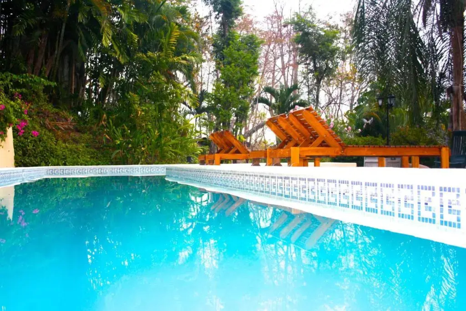 Funky Monkey Lodge