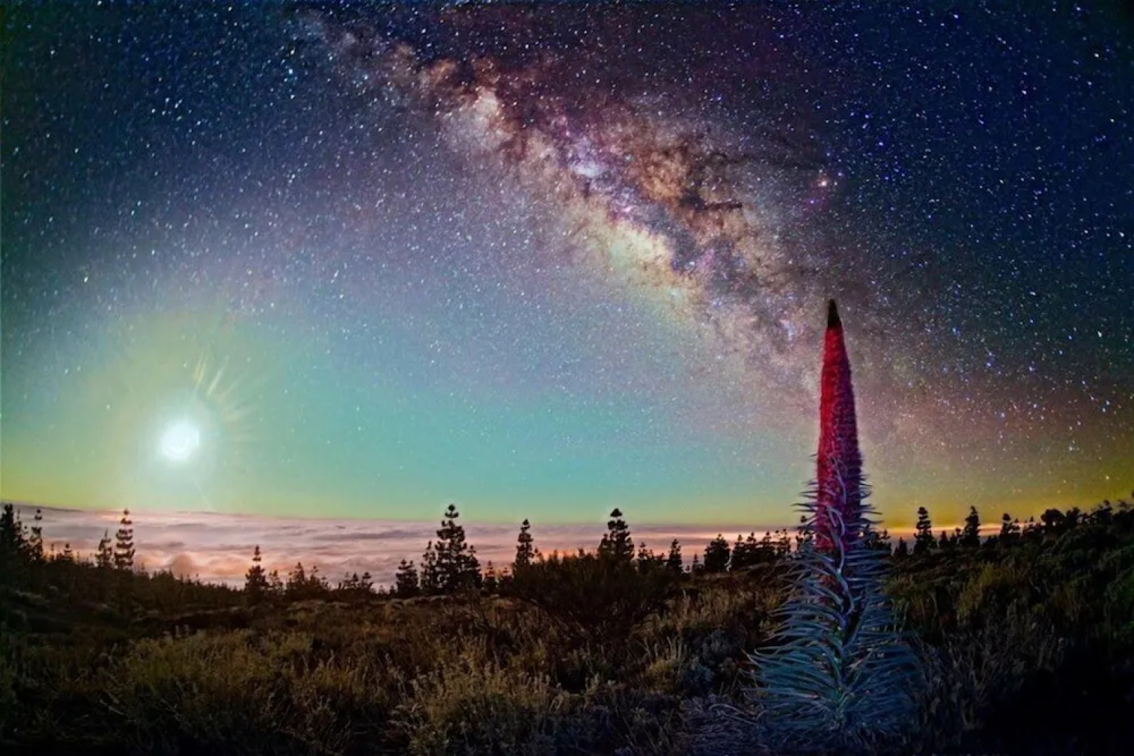 Hotel Casa El Zaguan