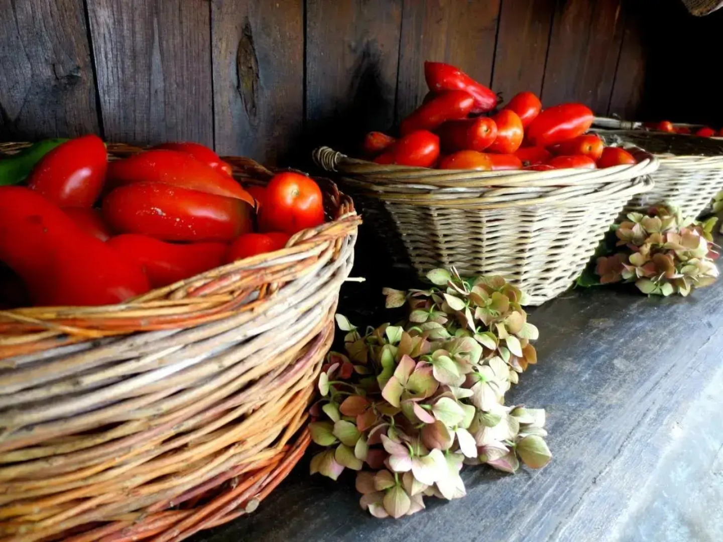 Casa Rondini, organic farm