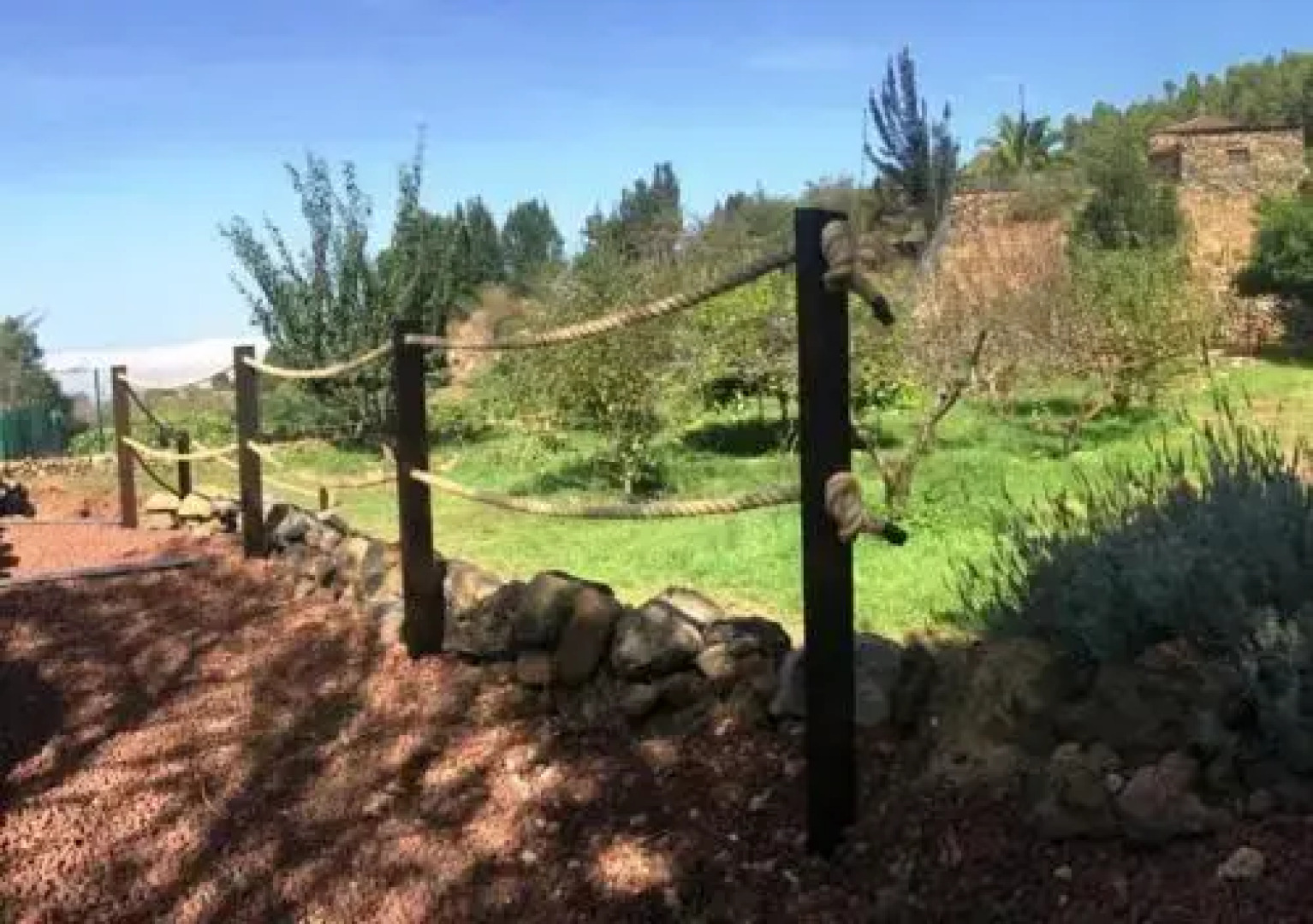 Finca San Pablo Icod de los Vinos