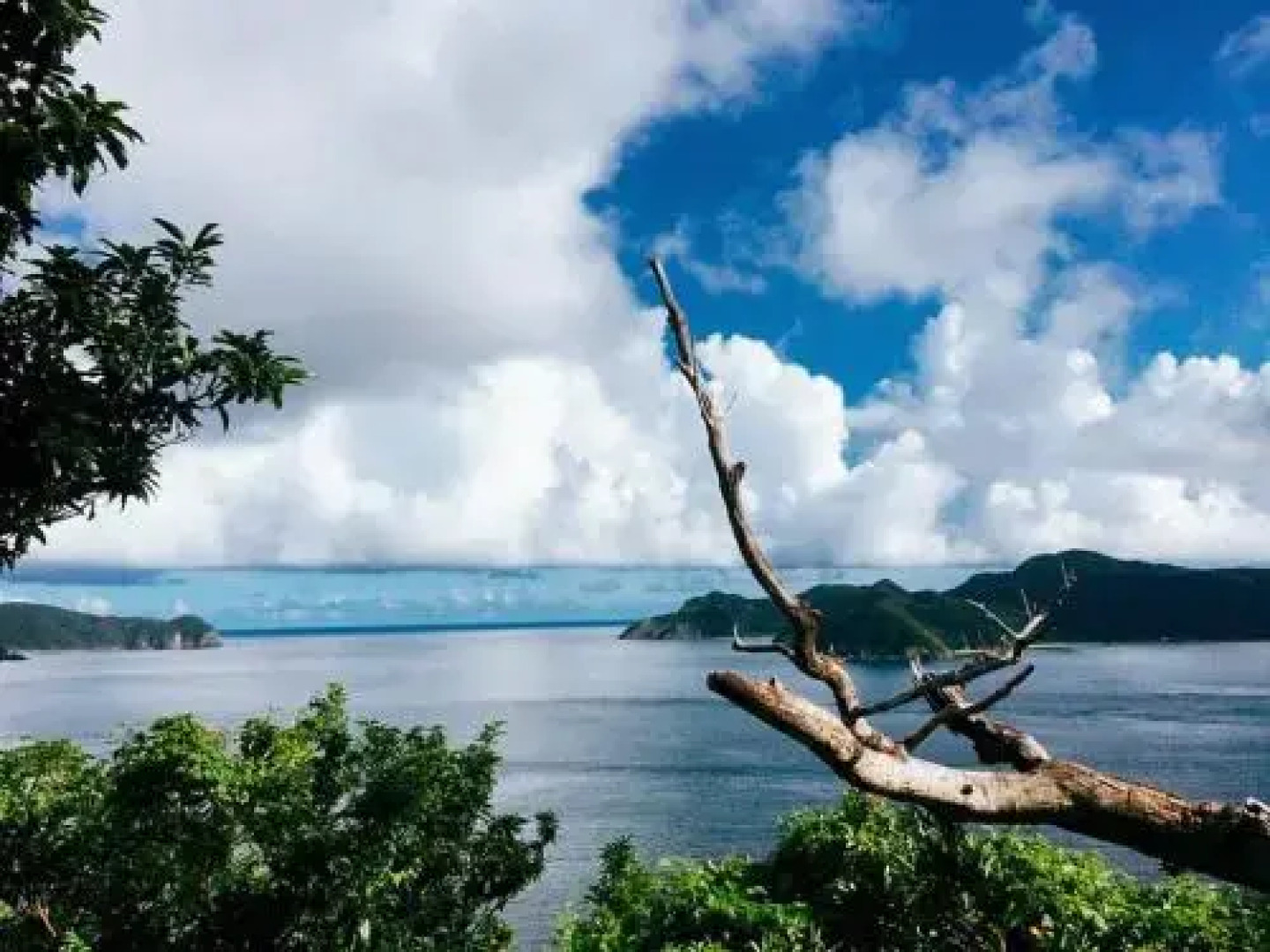 Sakai Guest House AMAMI（堺ゲストハウス奄美）