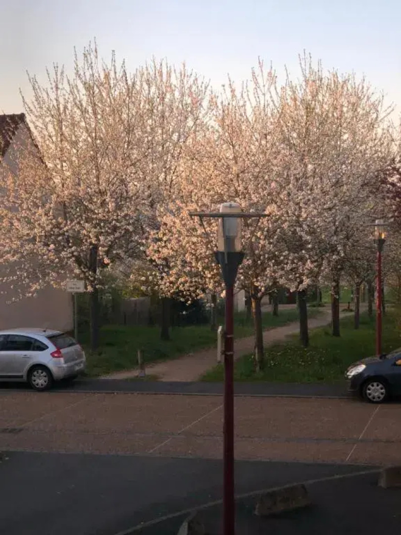Appartement entier en résidence avec Piscine