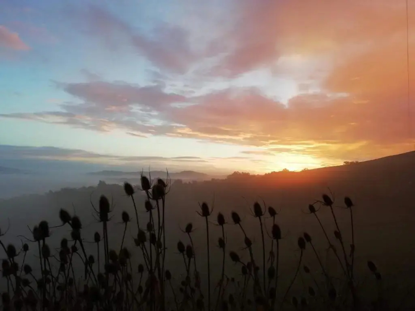 Agriturismo Alla Vecchia Quercia