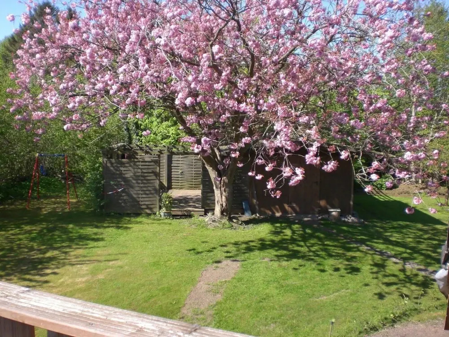 Komfortable-Ferienwohnung-in-Waabs-Ostsee-Damp-Eckernfoerde