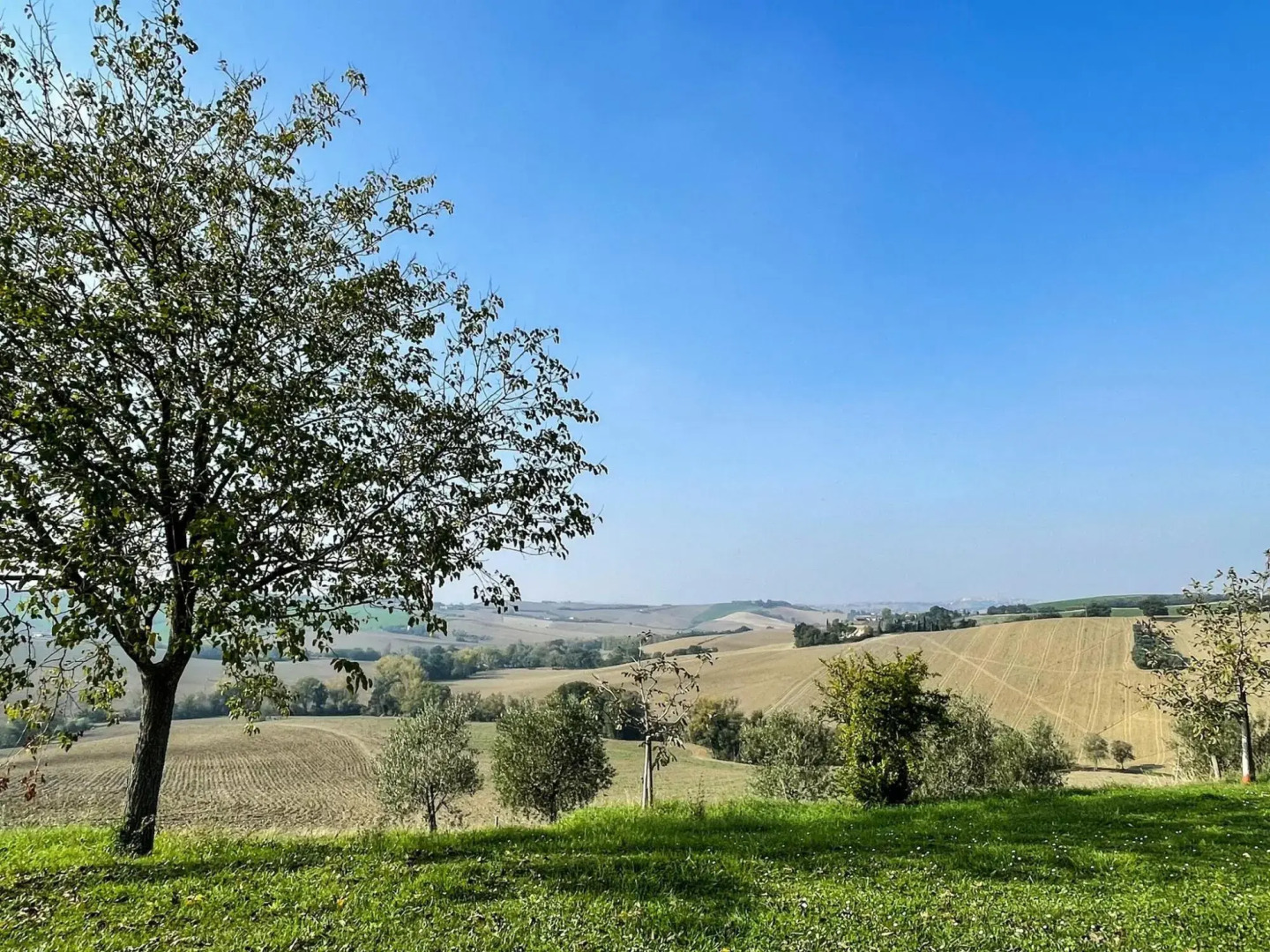 Scenic apartment in Belvedere Ostrense with private pool