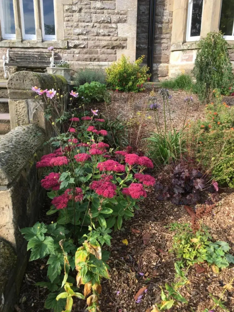 Creity Hall Guest House (Adults Only)