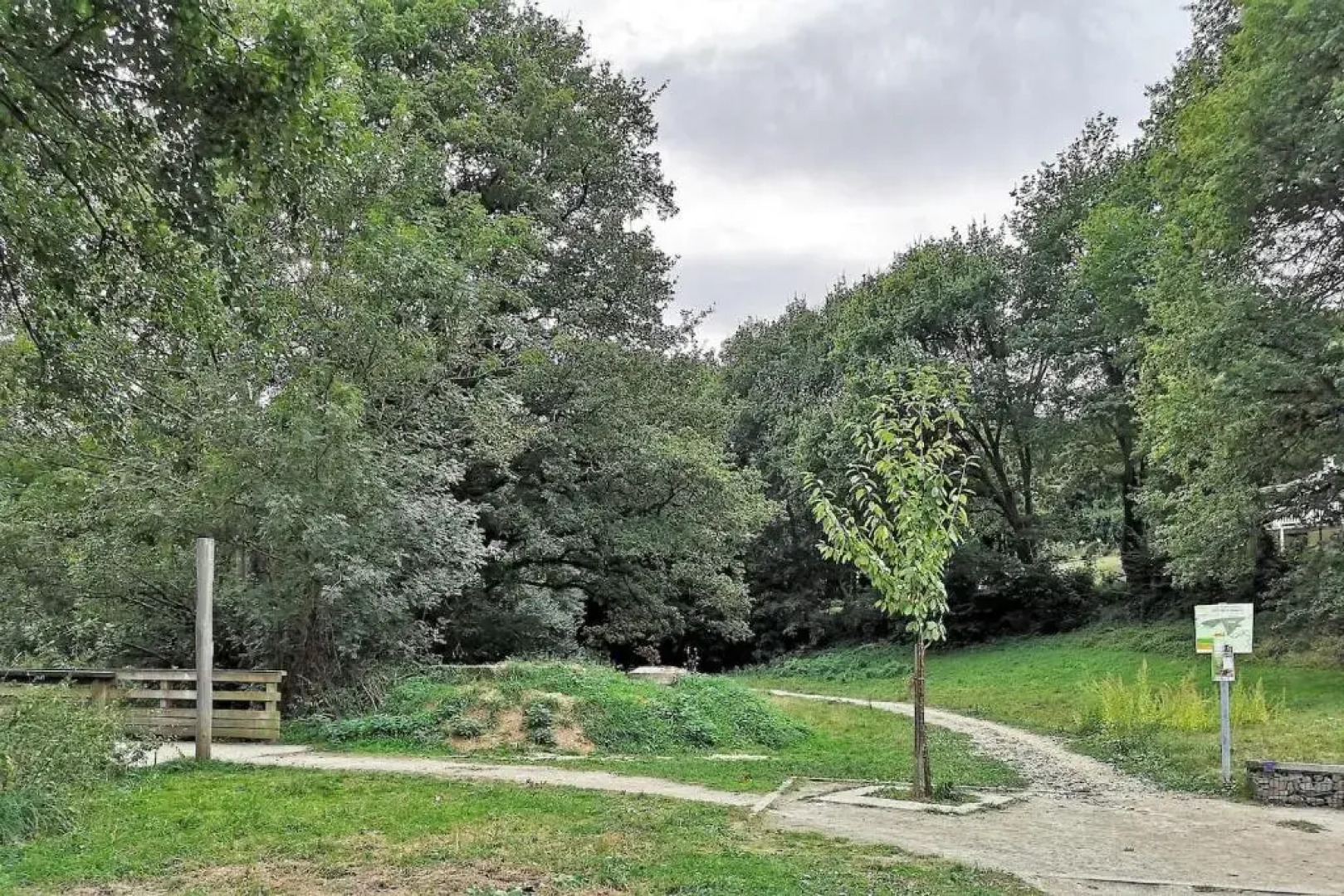 Orval et sens - Le Rayon Vert Studio