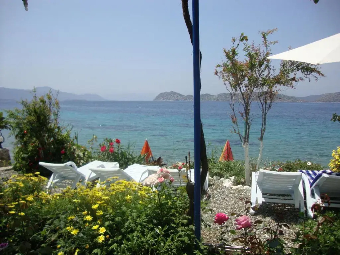 Mavi Akvaryum Pension