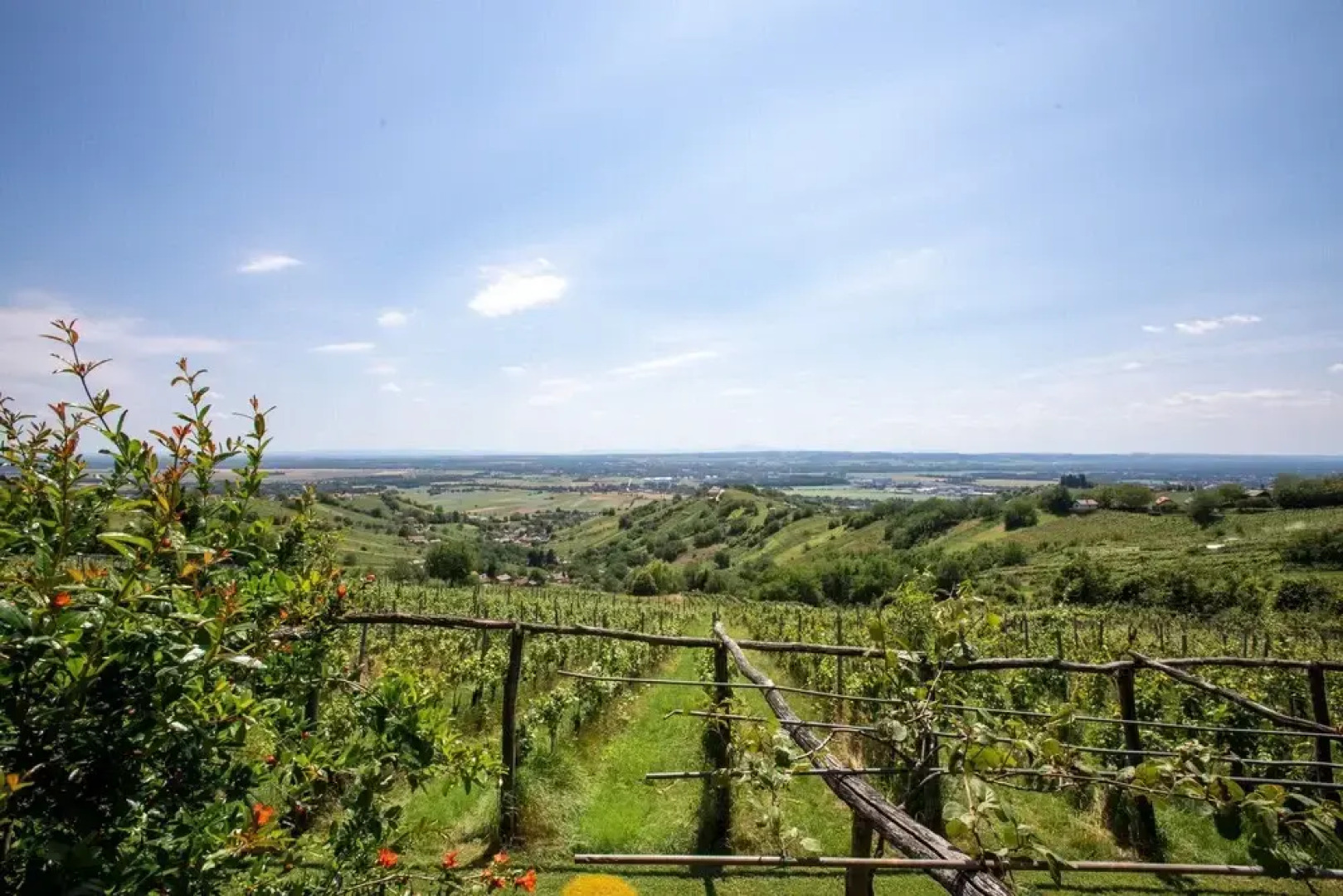 Wellness Vineyard Cottage Cuk