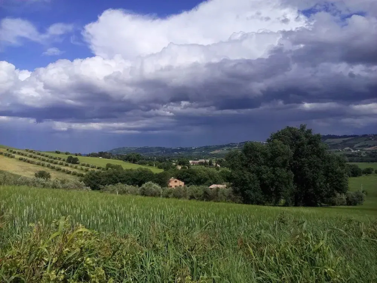 Agriturismo Forestale Luti