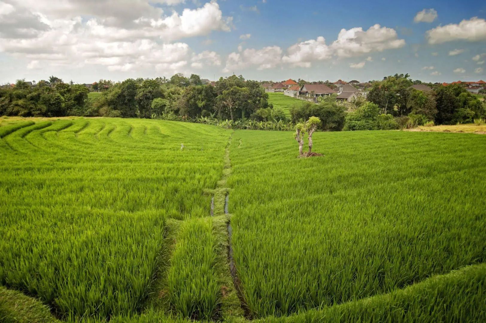 Villa Yenian by Villa Finder