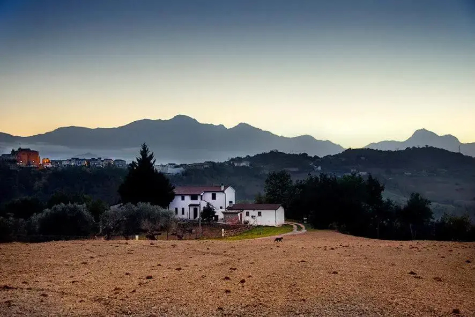 La Fattoria delle Coccinelle