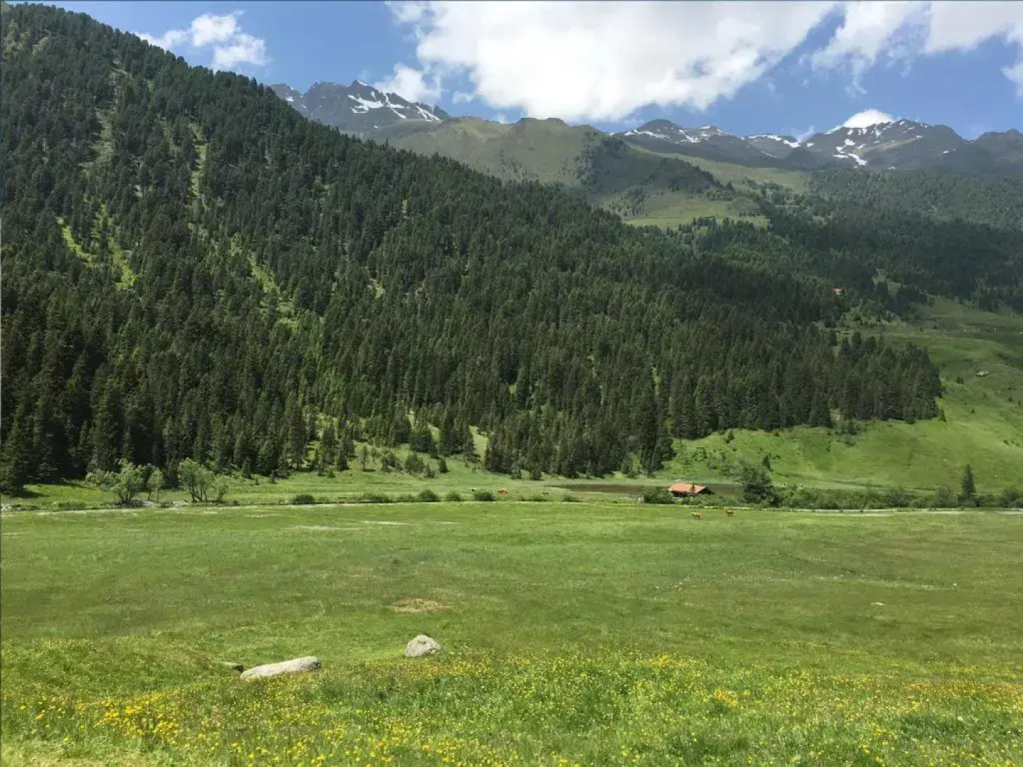 Alpengasthof Praxmar