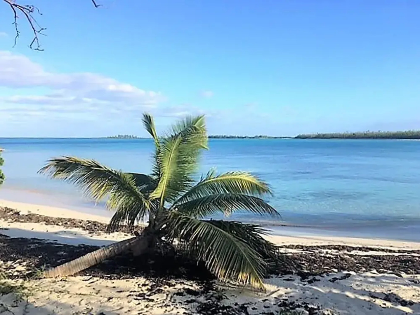 Green Turtle Cay by TechTravel