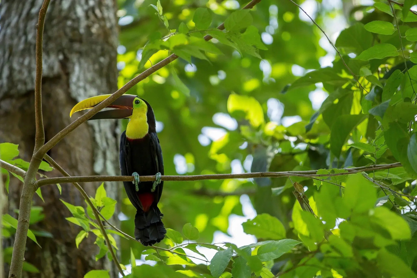 Hotel Cuna Del Angel